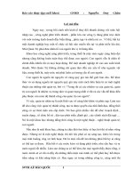 luận văn quản trị nhân lực Một Số Biện Pháp Nâng Cao Hiệu Quả Công Tác Quản Trị Nhân Sự Tại Công Ty TNHH TM TÂN VIỄN ĐÔNG