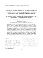 Nghiên cứu biểu hiện tạm thời của kháng nguyên GP5 của virus gây bệnh lợn tai xanh trong cây thuốc lá (Nicotiana benthamiana) bằng phương pháp Agro-infiltration