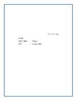 Tiểu luận kinh tế vĩ mô tổng cung và tổng cầu