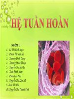 Thuyết trình môn học hệ tuần hoàn