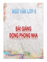 Bài giảng ngữ văn 6 bài 31 động phong nha