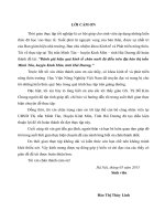 Đánh giá hiệu quả kinh tế chăn nuôi đà điểu trên địa bàn thị trấn Minh Tân, huyện Kinh Môn, tỉnh Hải Dương