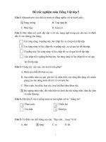 Đề thi tiếng việt lớp 5 cực hay