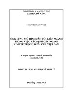 Ứng dụng mô hình cân đối liên ngành kinh tế trọng điểm của Việt Nam