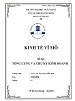 Tiểu luận nghiên cứu đề tài “tổng cung và chu kỳ kinh doanh”