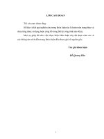 Thực trạng và giải pháp phát triển chăn nuôi lợn theo hướng VietGAHP tại xã Đình Dù, huyện Văn Lâm, tỉnh Hưng Yên