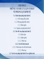 Chương i   những vấn đề lý luận cơ bản về pháp luật kinh tế