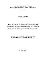 Hiệu quả kinh tế trong sản xuất rau an toàn của hộ nông dân trên địa bàn xã Mai Pha, thành phố Lạng Sơn, tỉnh Lạng Sơn