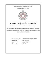Thực trạng và giải pháp đẩy mạnh tiêu thụ lợn thịt cho các hộ chăn nuôi tại xã Long Hưng, huyện Văn Giang, tỉnh Hưng Yên