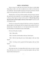 Phân tích hiệu quả hoạt động kinh doanh tại doanh nghiệp tư nhân may thanh nguyên