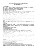 Đề cương ôn tập HK2-Toán 9 (10-11)