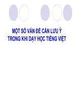 MỘT SỐ VẤN ĐỀ CẦN LƯU Ý TRONG KHI DẠY HỌC TIẾNG VIỆT