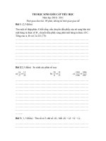 Đề thi HSG lớp 5 - năm học 2010-2011