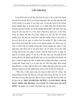 Báo cáo tốt nghiệp Một số phương hướng và giải pháp nhằm phát triển thị trường của công ty xăng dầu Hà Sơn Bình