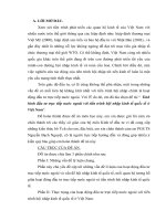 Tình hình đầu tư trực tiếp nước ngoài với tiến trình hội nhập kinh tế quốc tế ở Việt Nam