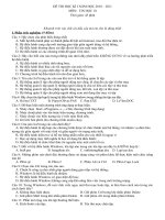 DE THI TIN 10 NAM 2011