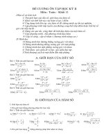 ĐỀ CƯƠNG ÔN HKII TOÁN 11 BAN CƠ BẢN