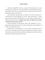 Chiến lược kinh doanh của Tập đoàn TH với dòng sản phẩm sữa tươi sạch TH True Milk