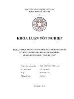 Thực trạng và giải pháp phát triển sản xuất cây keo lai trên địa bàn xã Hương Vĩnh – huyện Hương Khê – Tỉnh Hà Tĩnh