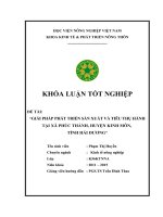 Giải pháp phát triển sản xuất và tiêu thụ hành tại xã Phúc Thành, huyện Kinh Môn, tỉnh Hải Dương