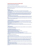 CHƯƠNG TRÌNH DÀNH CHO ĐỘI TNTP TRƯỞNG THÀNH