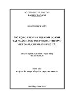 Mở rộng cho vay hộ kinh doanh tại ngân hàng TMCP Ngoại thương Việt Nam, chi nhánh Phú Tài