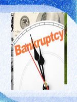 Chương v   pháp luật về phá sản