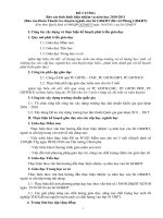 Đề cương báo cáo thanh tra