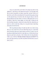 Tiểu luận Kỹ năng của luật sư trong các vụ án kinh tế