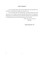 Giải pháp giải quyết việc làm cho lao động nông thôn tại xã Vân Diên, huyện Nam Đàn, tỉnh Nghệ An