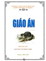 Mẫu khung trang trí bìa giáo án_sách 2