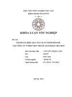 Đánh giá hiệu quả sản xuất kinh doanh tại công ty TNHH Việt Thắng giai đoạn 2012-2014