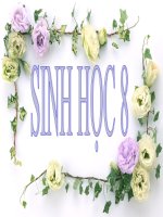 co sơ khoa học cua cac bien phap tranh thai