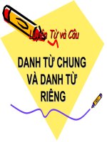 Danh từ chung và danh từ riêng