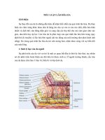 TIỂU LUẬN lão hóa DA