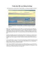 5 năm nữa,Bắc cực không còn băng