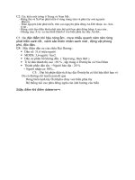 Đề cương ôn tập Sử học kì II ăm 2010 2011