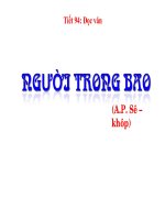 Tiết 94_ Đọc văn Người Trong Bao