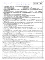 đề thi tốt nghiêp hay có đáp án