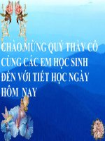 bai 61, 62 tim hieu mot so dong vat.....