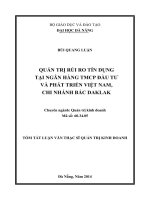 Quản trị quan rủi ro tín dụng tại ngân hàng TMCP đầu tư và phát triển Việt Nam, Chi nhánh Bắc DăKLaK