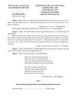 Đề Ngữ văn 9 HK2 (2009 - 2010)