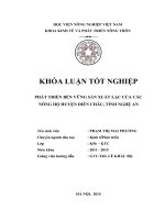 Phát triển bền vững sản xuất lạc của các hộ nông dân huyện Diễn Châu, tỉnh Nghệ An