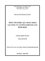 Phân tích hiệu quả hoạt động tại công ty cổ phần khoáng sản Bình Định