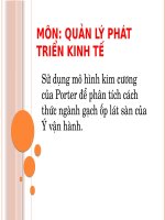Thảo luận môn Quản lý phát triển kinh tế: Sử dụng mô hình kim cương của Porter để phân tích ngành gạch ốp lát sàn của Ý