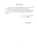 Đánh giá hiệu quả kinh tế sản xuất đậu tương của các hộ nông dân xã Điệp Nông, huyện Hưng Hà, tỉnh Thái Bình