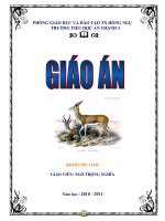 Mẫu khung trang trí bìa giáo án_sách 11