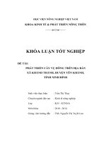 Phát triển cây vụ đông trên địa bàn xã Khánh Thành – huyện Yên Khánh – tỉnh Ninh Bình