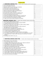 Conditional sentenses exercises