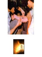 Bộ ảnh soạn GAĐT môn GDCD 8.3